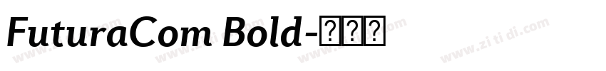 FuturaCom Bold字体转换
